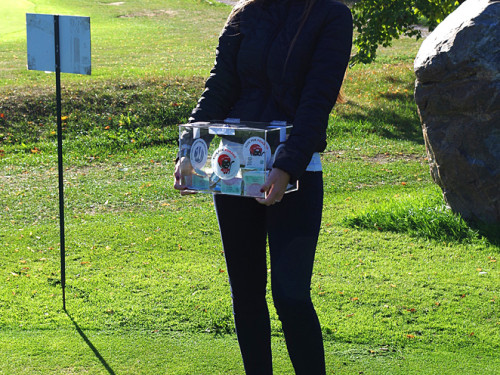 2. Morelo Cup