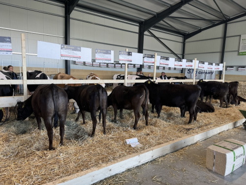 „ WAGYU GOURMET WEEKEND 2024 “