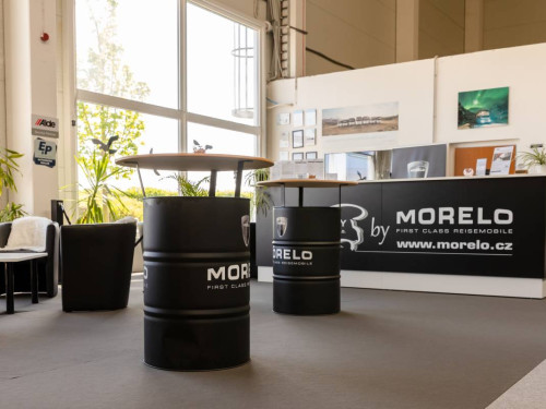 Morelo 2024